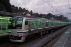 [E217系〔横フナ〕F19編成　1663S（横須賀線　北鎌倉　神奈川県鎌倉市山ノ内）]