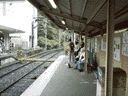 [猫も電車待ち？（箱根登山鉄道　小涌谷　神奈川県足柄下郡箱根町）]